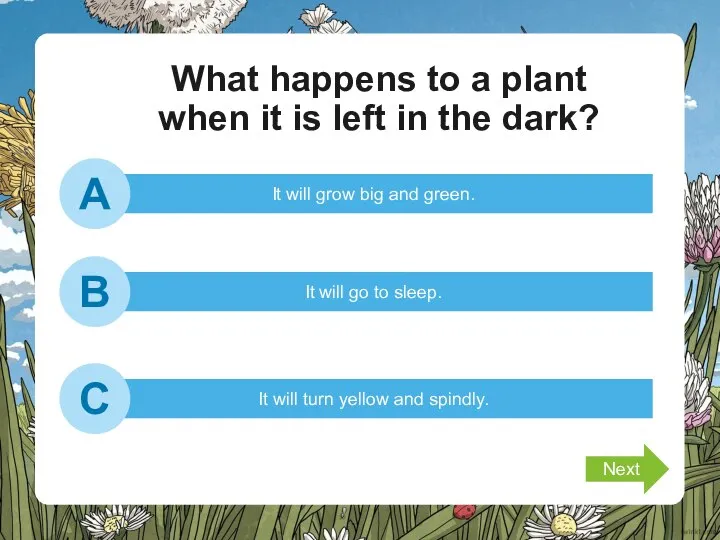 What happens to a plant when it is left in the