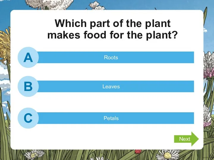 Which part of the plant makes food for the plant? Roots