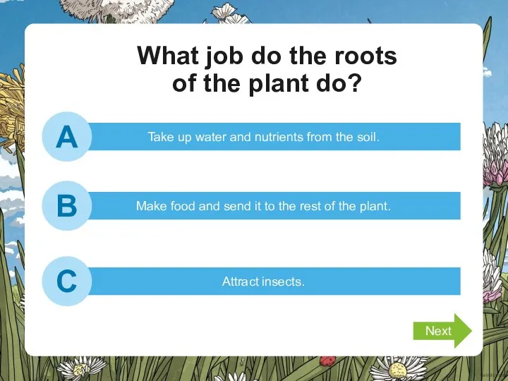 What job do the roots of the plant do? Take up