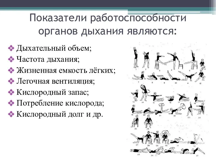 Показатели работоспособности органов дыхания являются: Дыхательный объем; Частота дыхания; Жизненная емкость