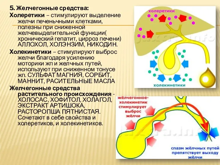 5. Желчегонные средства: Холеретики – стимулируют выделение желчи печеньчными клетками, полезны