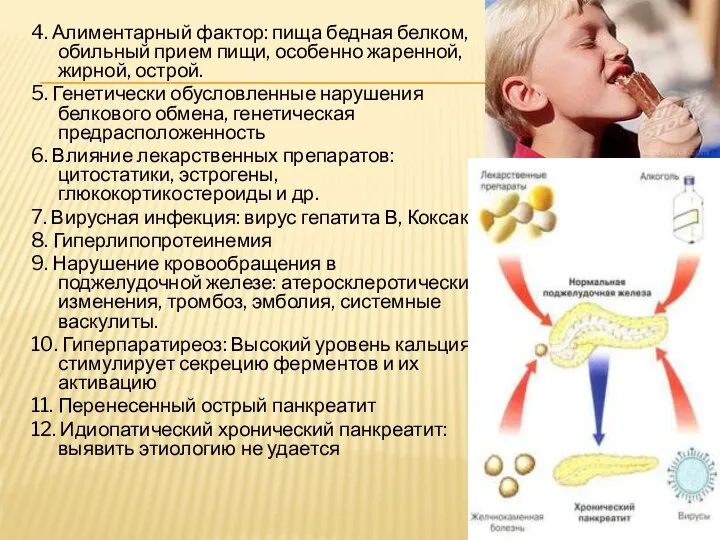 4. Алиментарный фактор: пища бедная белком, обильный прием пищи, особенно жаренной,