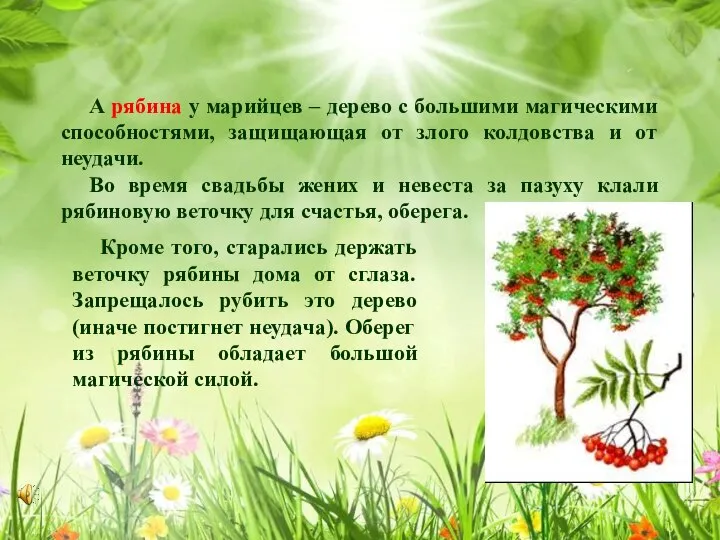 А рябина у марийцев – дерево с большими магическими способностями, защищающая