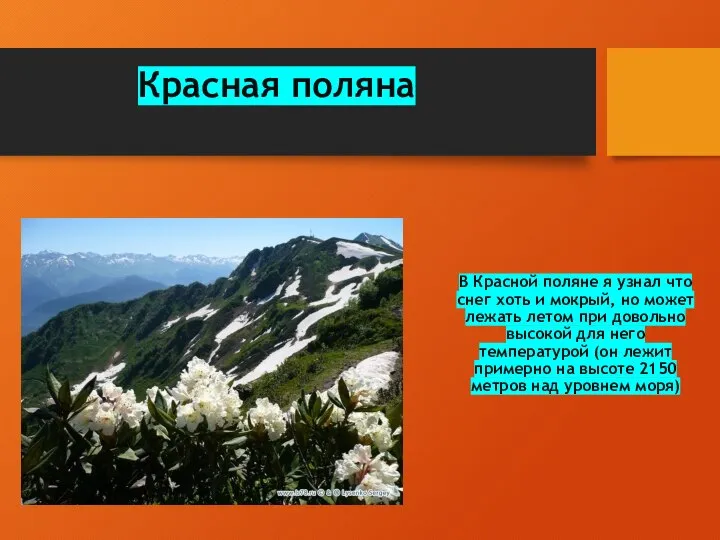 Красная поляна В Красной поляне я узнал что снег хоть и