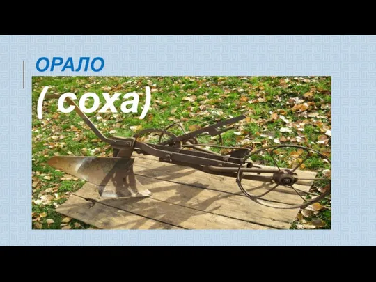 ОРАЛО ( соха)