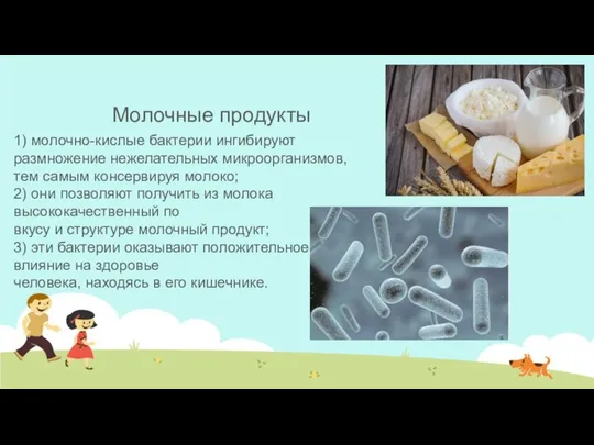 Молочные продукты 1) молочно-кислые бактерии ингибируют размножение нежелательных микроорганизмов, тем самым
