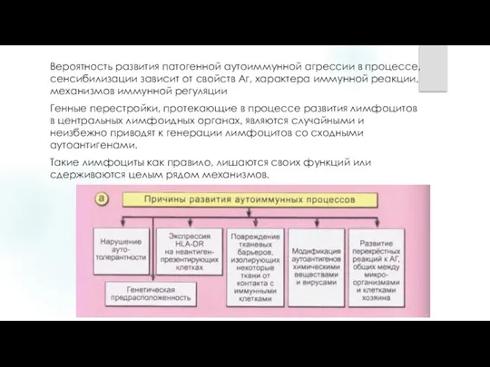 Вероятность развития патогенной аутоиммунной агрессии в процессе, сенсибилизации зависит от свойств