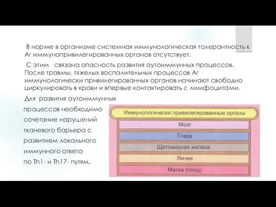 В норме в организме системная иммунологическая толерантность к Aг иммунопривилегированных органов