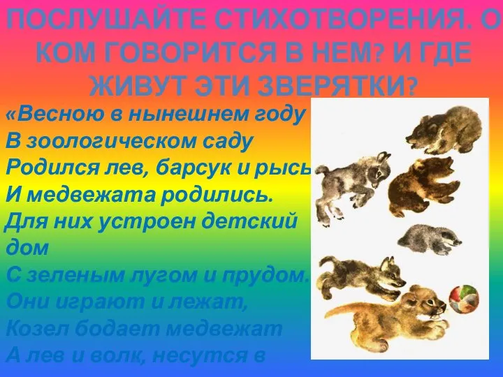 «Весною в нынешнем году В зоологическом саду Родился лев, барсук и