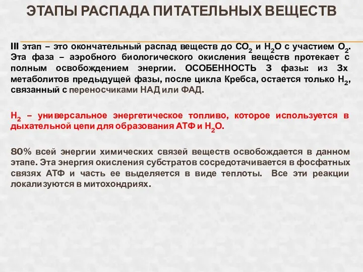 ЭТАПЫ РАСПАДА ПИТАТЕЛЬНЫХ ВЕЩЕСТВ III этап – это окончательный распад веществ