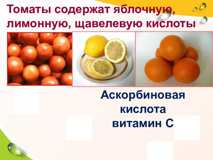 Томаты содержат яблочную, лимонную, щавелевую кислоты Аскорбиновая кислота витамин С