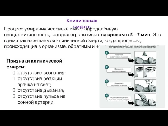 Клиническая смерть Процесс умирания человека имеет определённую продолжительность, которая ограничивается сроком