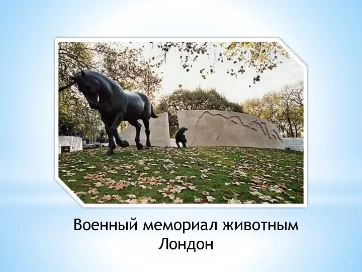 Военный мемориал животным Лондон