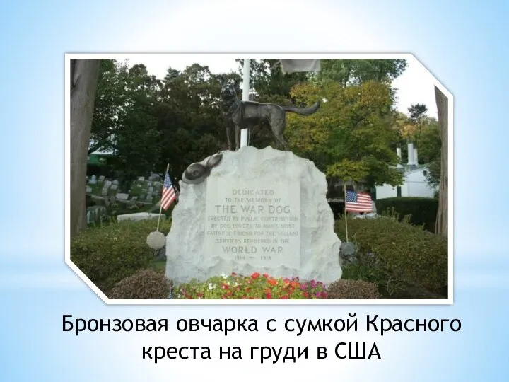 Бронзовая овчарка с сумкой Красного креста на груди в США