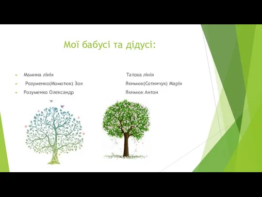 Мої бабусі та дідусі: Мамина лінія Татова лінія Розуменко(Момотюк) Зоя Якимюк(Сотничук) Марія Розуменко Олександр Якимюк Антон