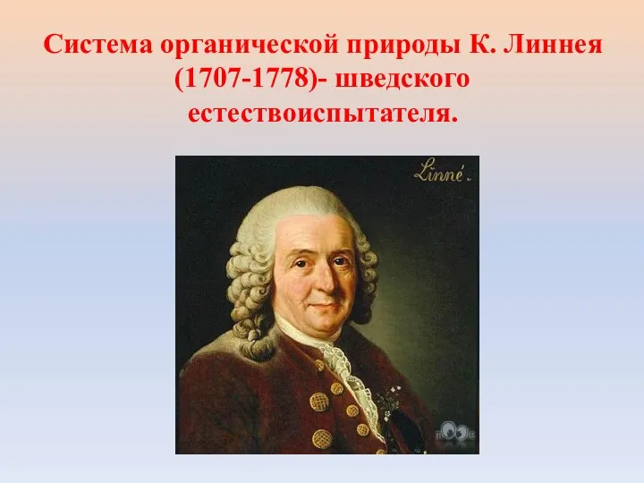 Система органической природы К. Линнея (1707-1778)- шведского естествоиспытателя.