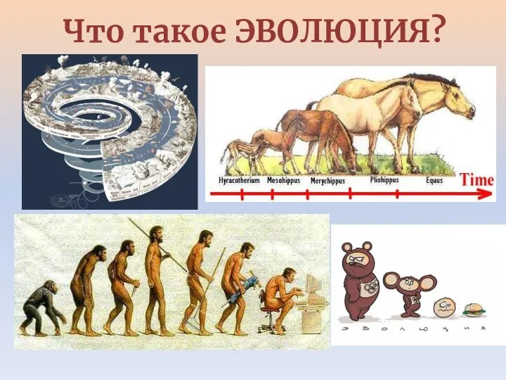 Что такое ЭВОЛЮЦИЯ?