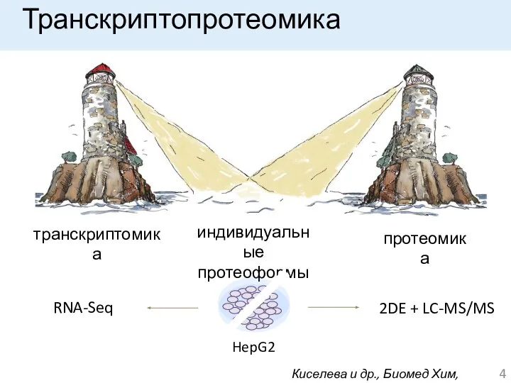 транскриптомика протеомика Транскриптопротеомика индивидуальные протеоформы 4 HepG2 2DE + LC-MS/MS RNA-Seq