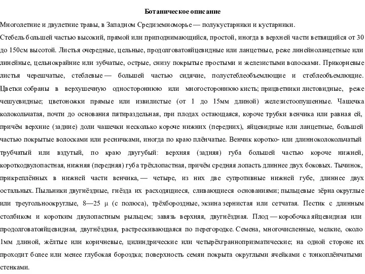 Ботаническое описание Многолетние и двулетние травы, в Западном Средиземноморье — полукустарники