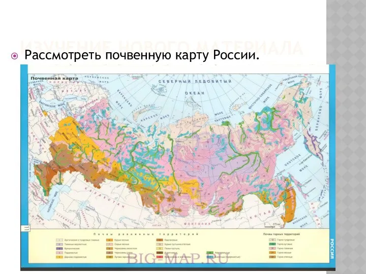 ИЗУЧЕНИЕ НОВОГО МАТЕРИАЛА Рассмотреть почвенную карту России.