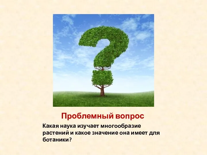 Проблемный вопрос Какая наука изучает многообразие растений и какое значение она имеет для ботаники?