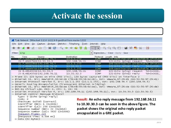 Result: An echo reply message from 192.168.56.11 to 10.30.30.3 can be