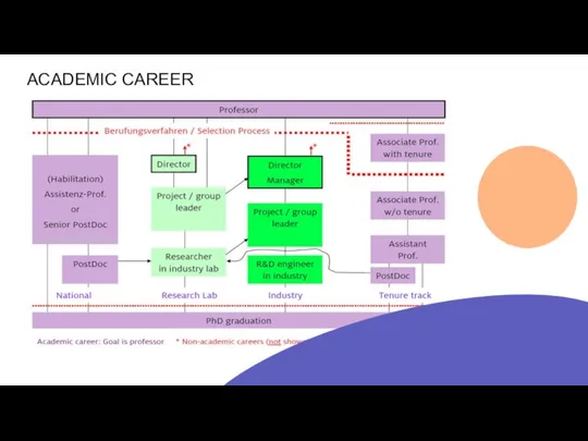 ACADEMIC CAREER