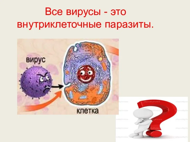 Все вирусы - это внутриклеточные паразиты.