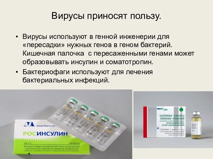 Вирусы приносят пользу. Вирусы используют в генной инженерии для «пересадки» нужных