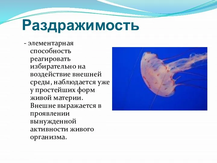 Раздражимость - элементарная способность реагировать избирательно на воздействие внешней среды, наблюдается