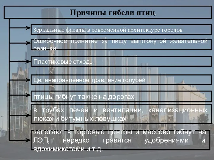 Причины гибели птиц. Зеркальные фасады в современной архитектуре городов Ошибочное принятие