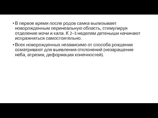 В первое время после родов самка вылизывает новорожденным перинеальную область, стимулируя