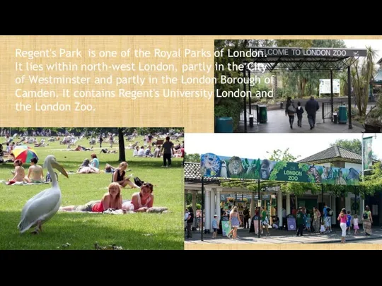 Regent's Park is one of the Royal Parks of London. It