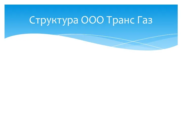 Структура ООО Транс Газ