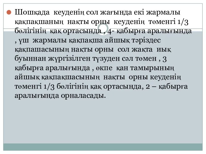 Шошқада кеуденің сол жағында екі жармалы қақпақшаның нақты орны кеуденің төменгі