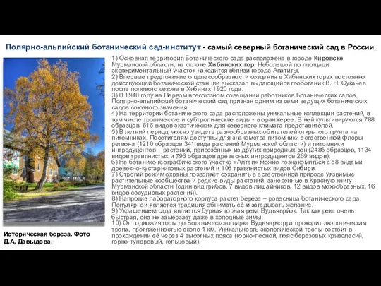 1) Основная территория Ботанического сада расположена в городе Кировске Мурманской области,