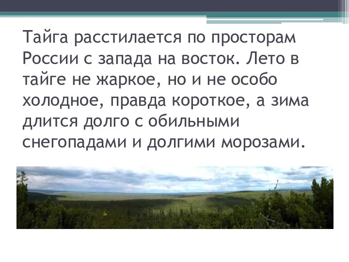 Тайга расстилается по просторам России с запада на восток. Лето в