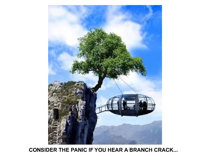 CONSIDER THE PANIC IF YOU HEAR A BRANCH CRACK...