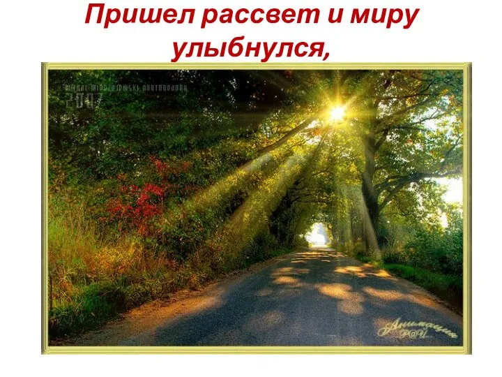 Пришел рассвет и миру улыбнулся,