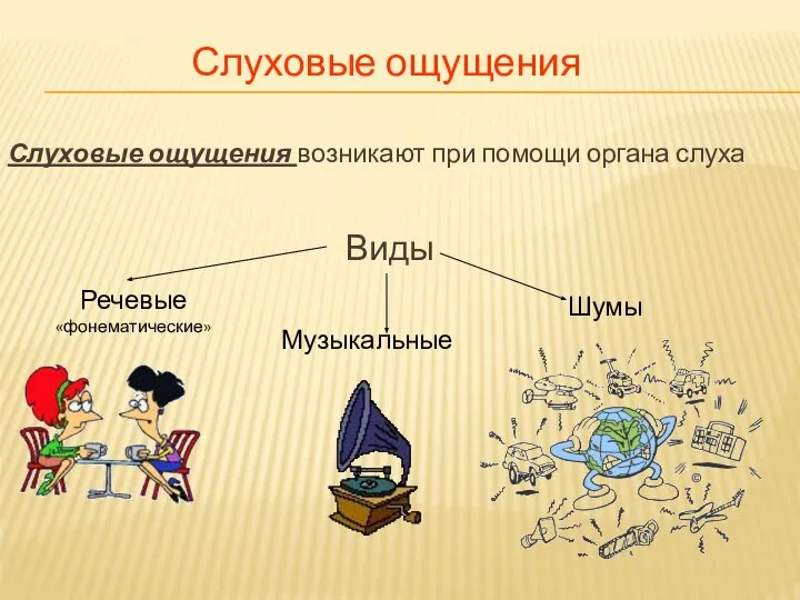 Слуховые ощущения возникают при помощи органа слуха Виды Речевые «фонематические» Музыкальные Шумы Слуховые ощущения