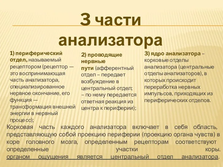 3 части анализатора 1) периферический отдел, называе­мый рецептором (рецептор — это