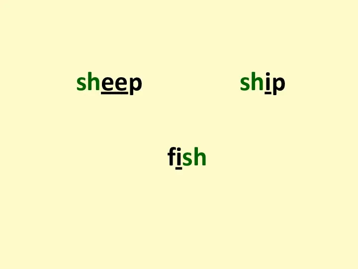 sheep ship fish