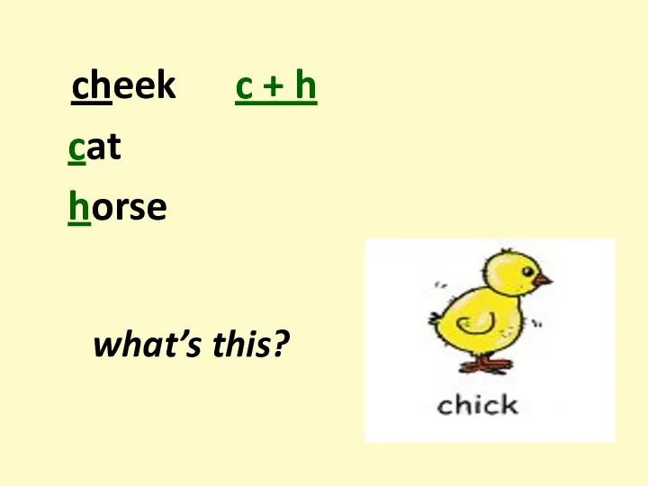 cheek c + h cat horse what’s this?