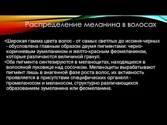 Распределение меланина в волосах Широкая гамма цвета волос - от самых