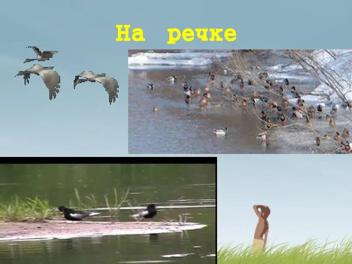 На речке