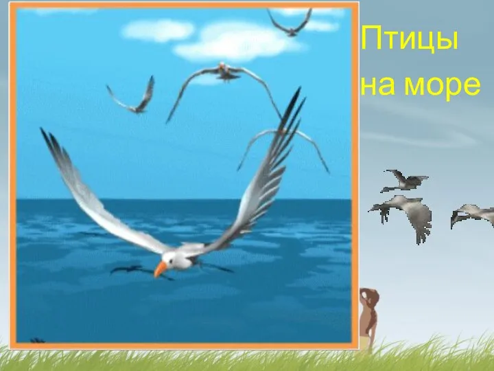 Птицы на море