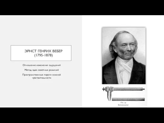 ЭРНСТ ГЕНРИХ ВЕБЕР (1795-1878) Отношение изменения ощущений Метод едва заметных различий Пространственные пороги кожной чувствительности