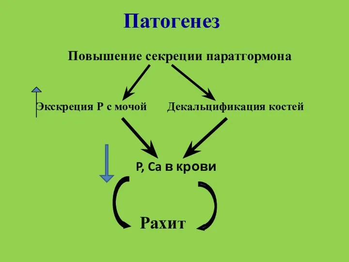 Патогенез Повышение секреции паратгормона Экскреция Р с мочой Декальцификация костей P, Ca в крови Рахит