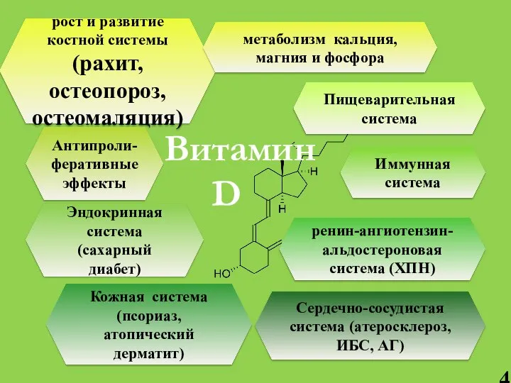 рост и развитие костной системы (рахит, остеопороз, остеомаляция) метаболизм кальция, магния