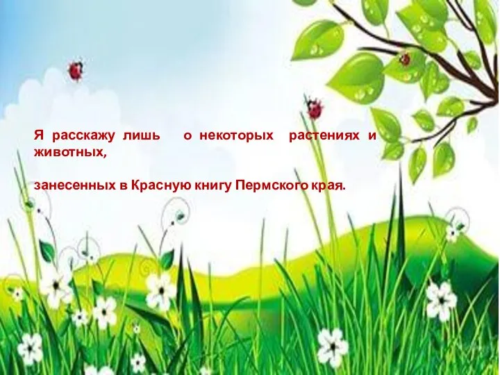 Я расскажу лишь о некоторых растениях и животных, занесенных в Красную книгу Пермского края.